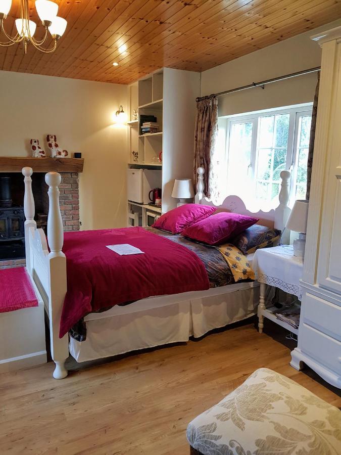 Brookvale Bed and Breakfast Wellingtonbridge Buitenkant foto