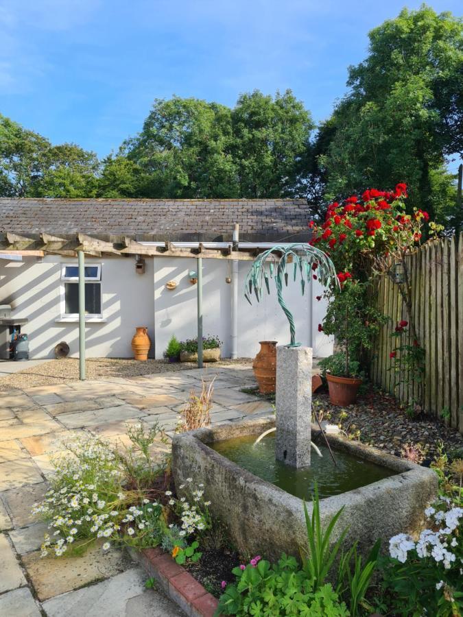 Brookvale Bed and Breakfast Wellingtonbridge Buitenkant foto